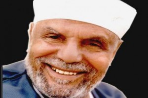 Author Muhammad Metwally Al-Shaarawi